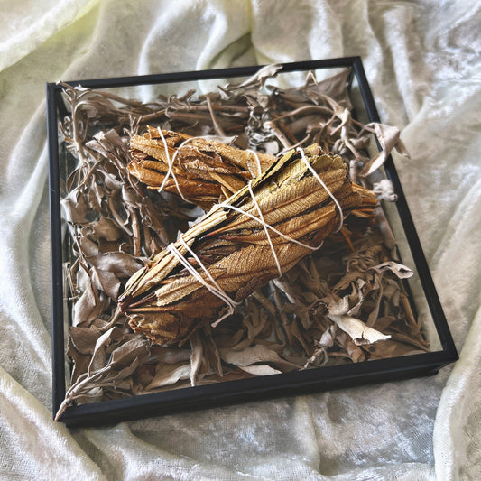 RÄUCHERBÜNDEL Yerba Santa
