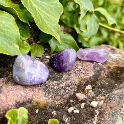 AMETHYST Trommelstein