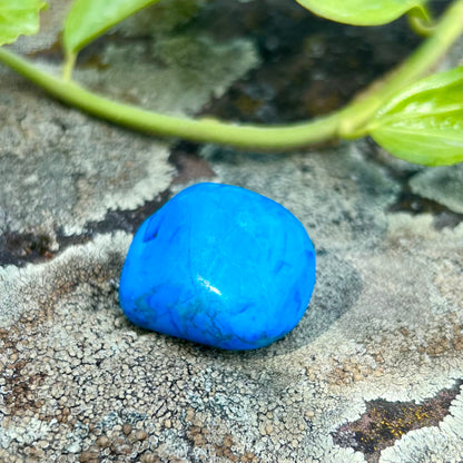 MAGNESIT tumbled stone (turquoise colored)